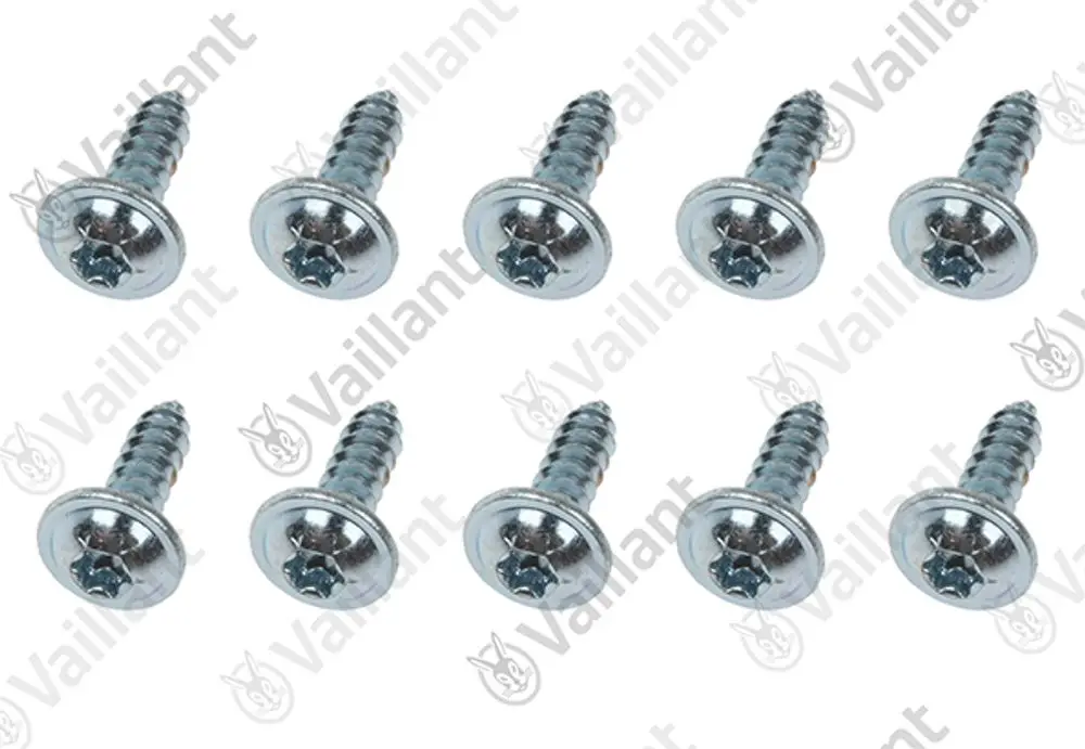 Vaillant Schrauben in Metalloptik, mit Schlitzkopf und Gewinde, angeordnet in zwei Reihen, insgesamt zehn Stück sichtbar.
